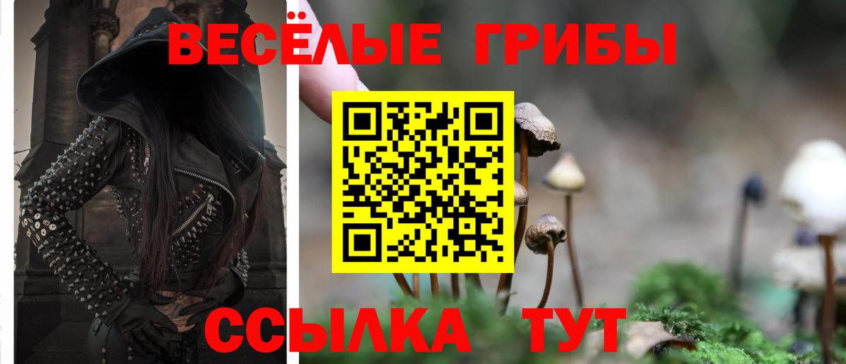 Галлюциногенные грибы Magic Shrooms  Вход с VPN  купить   Новодвинск 